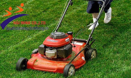 Máy cắt cỏ được sử dụng phổ biến hiện nay